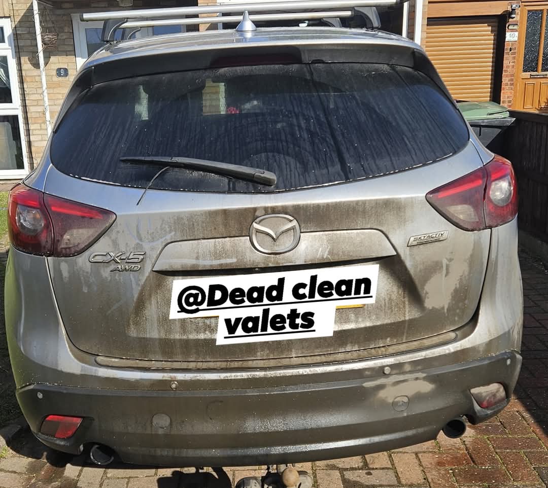 Dead clean valets