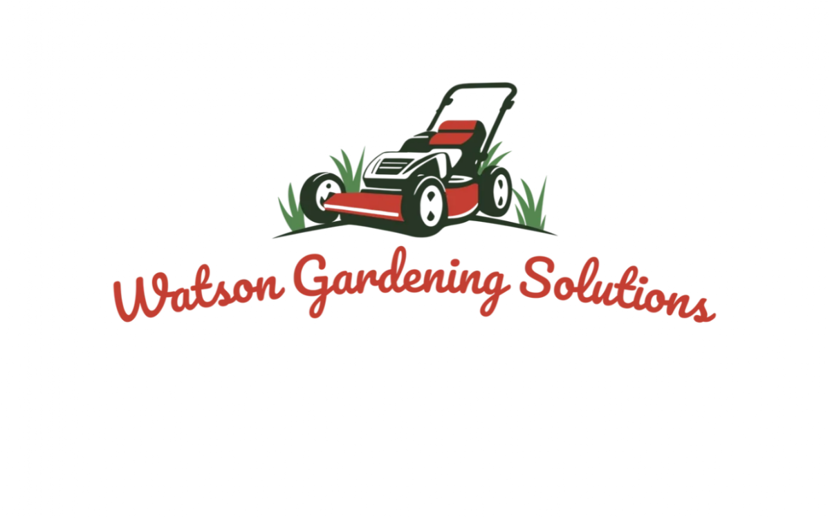 Watson Cleaning Solution
