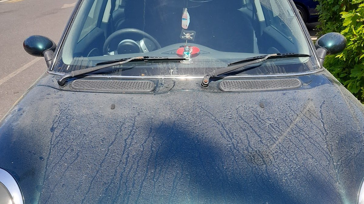 Waves Hand Car Wash Lewes